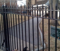 Poe Park