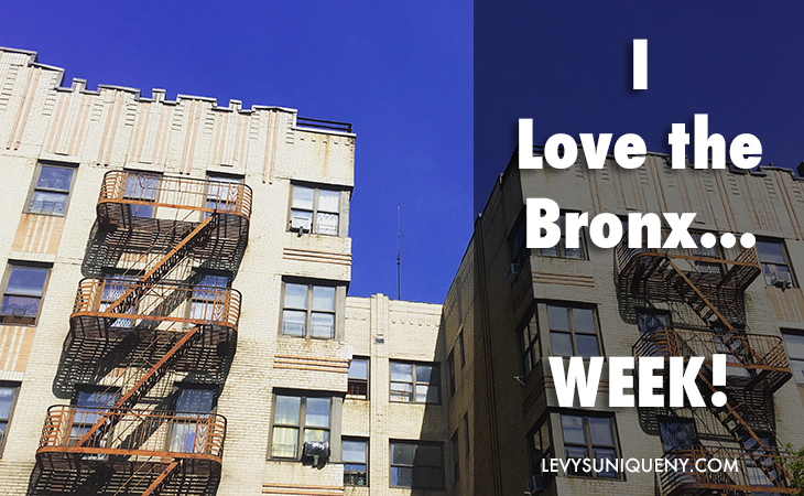 I Love The Bronx Week Levy's Unique New York Family Of Tour Guides